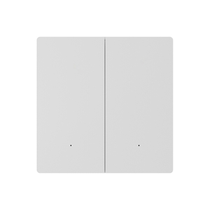 Dispositivo de fiação de 2 grupos Tuya Smart Wall Switch